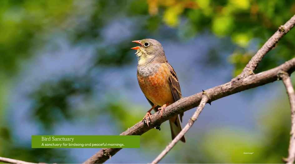 My-Home-Sanctuary-Amenities-Bird-Sanctuary