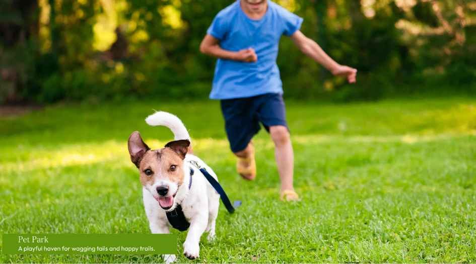 My-Home-Sanctuary-Amenities-Pet-Park