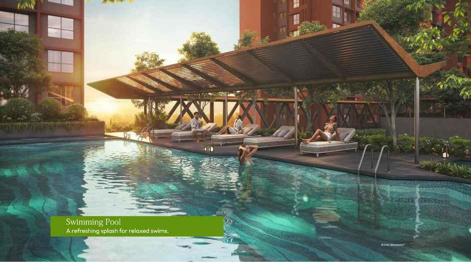 My-Home-Sanctuary-Amenities-Swimming-Pool